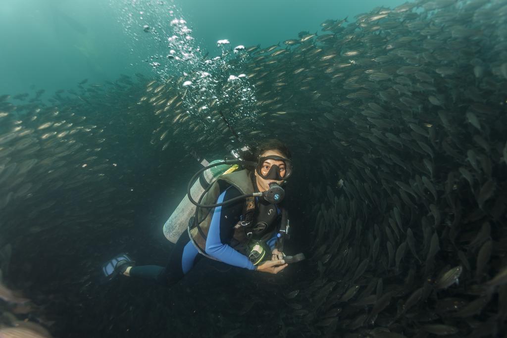 Hostal Castro Galapagos 푸에르토아요라 외부 사진